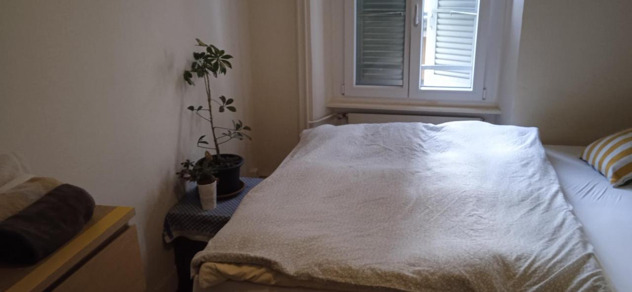 Chambre Double Last Minute Payerne Exteriér fotografie